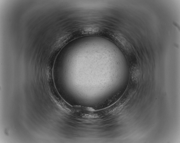 X0000098160455200804171603