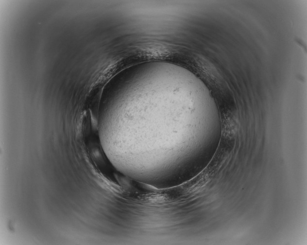 X0000098160456200804171603