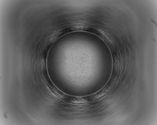 X0000098160459200804171603