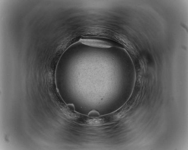 X0000098160461200804171603