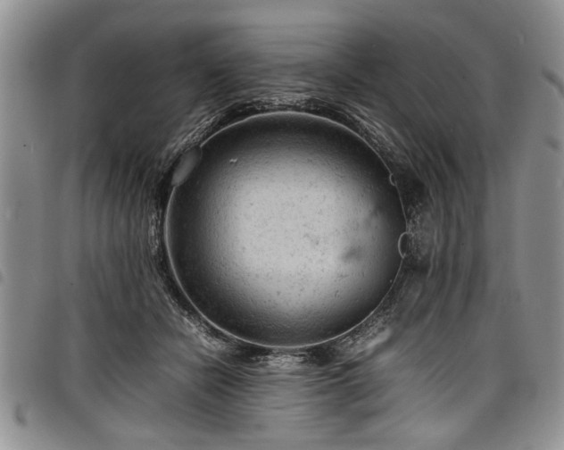 X0000098160462200804171603
