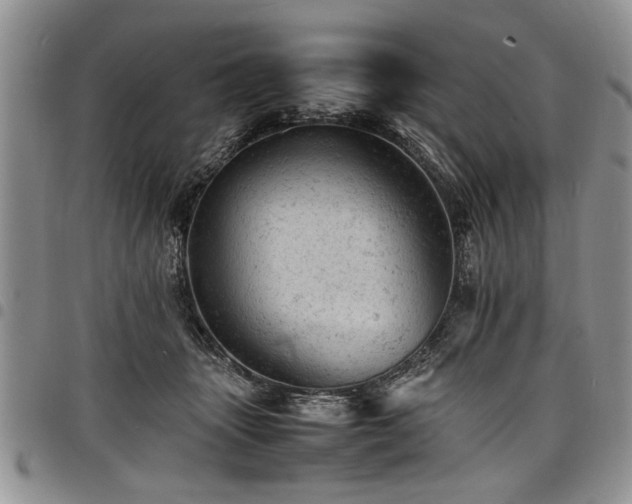 X0000098160463200804171603