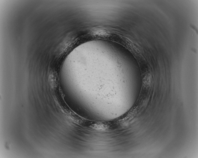X0000098160464200804171604