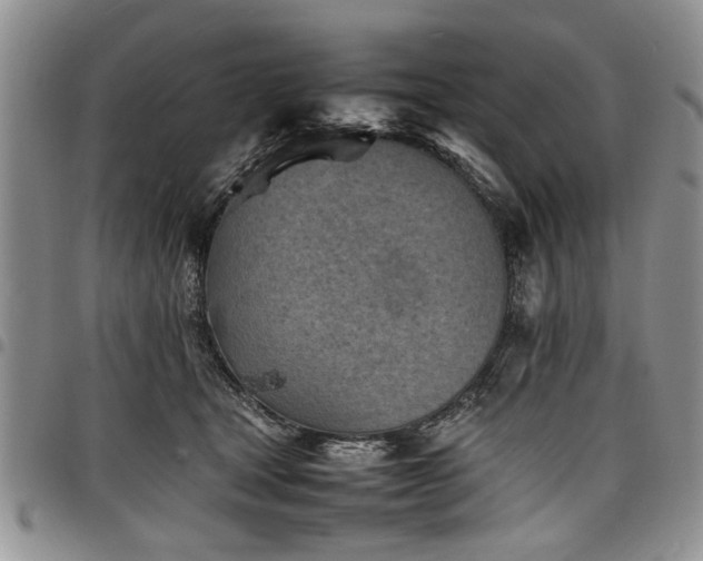 X0000098160465200804171604