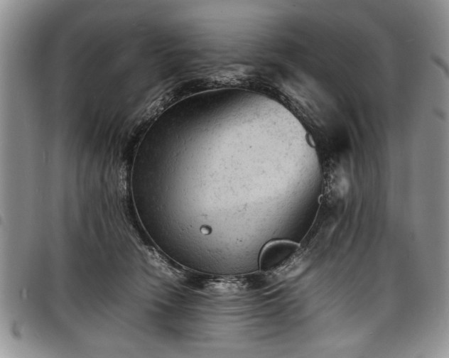 X0000098160466200804171604