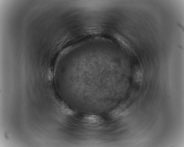 X0000098160467200804171604