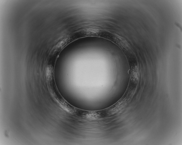 X0000098160468200804171604