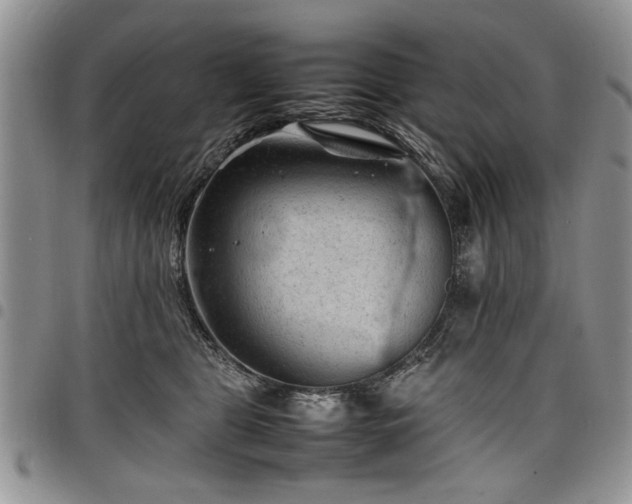 X0000098160469200804171604