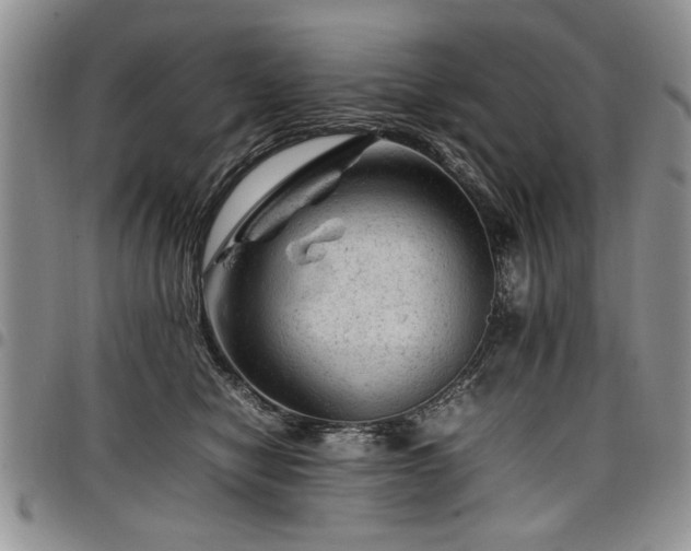 X0000098160470200804171604