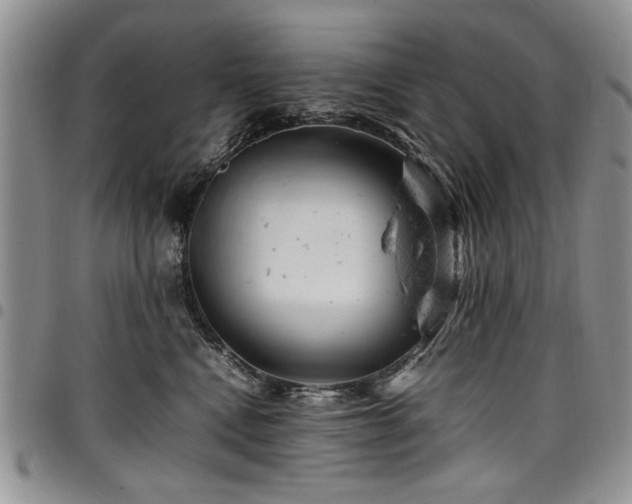 X0000098160472200804171604