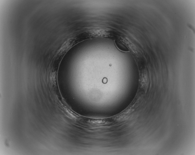 X0000098160473200804171604