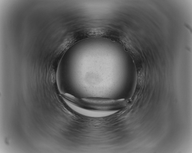X0000098160474200804171604