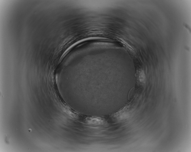 X0000098160475200804171604