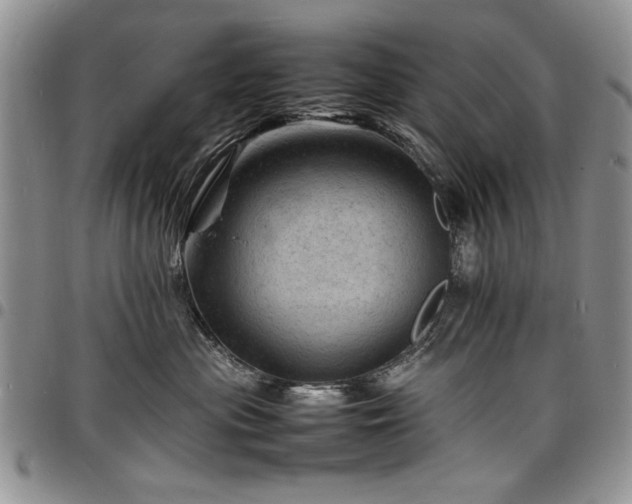 X0000098160477200804171604
