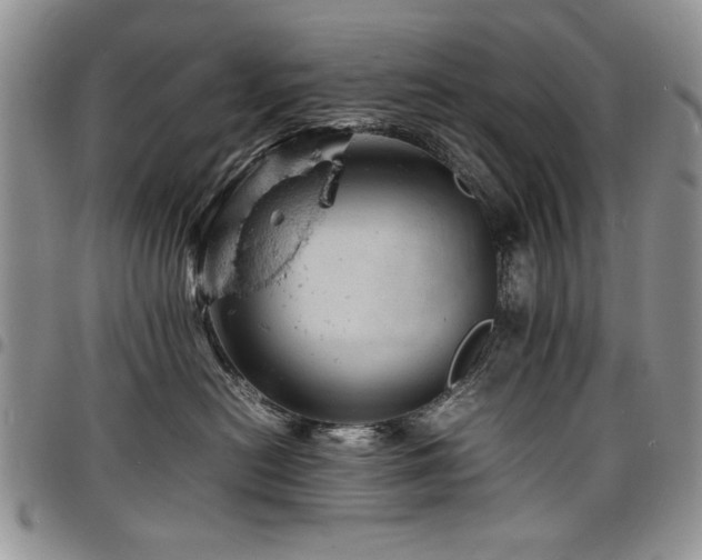 X0000098160478200804171604