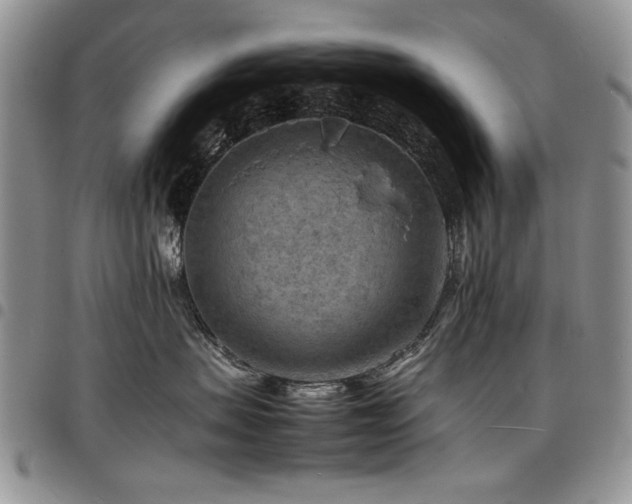 X0000098160479200804171604