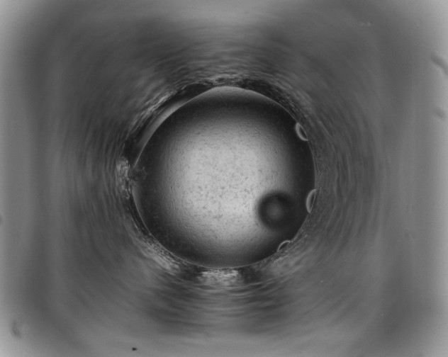 X0000098160480200804171604