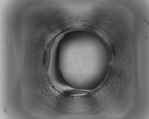 X0000098160481200804171603