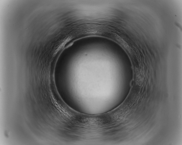 X0000098160482200804171603