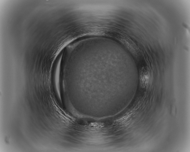 X0000098160484200804171603