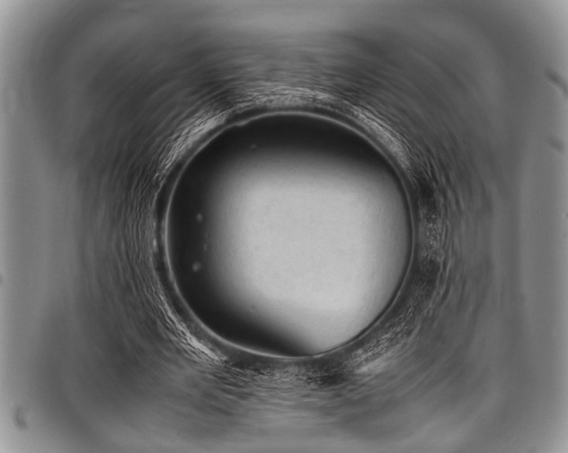 X0000098160485200804171603