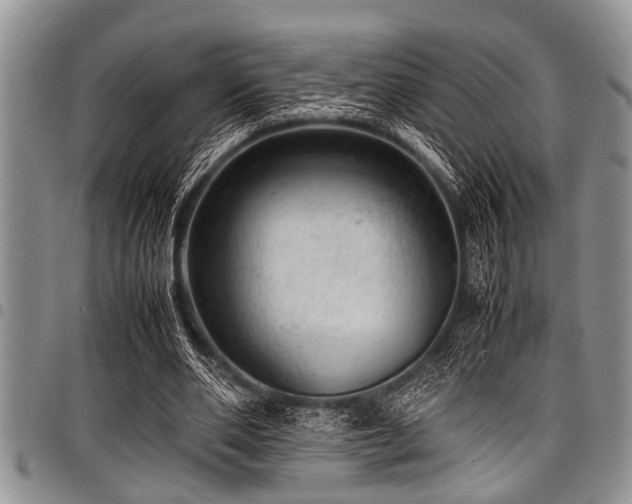 X0000098160486200804171603