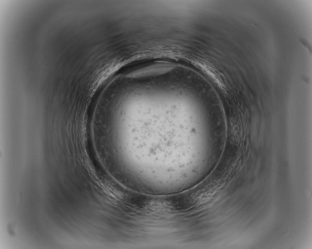 X0000098160487200804171603