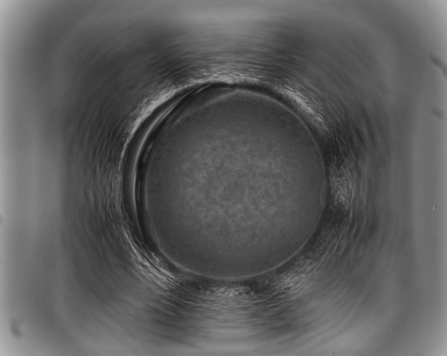 X0000098160488200804171603
