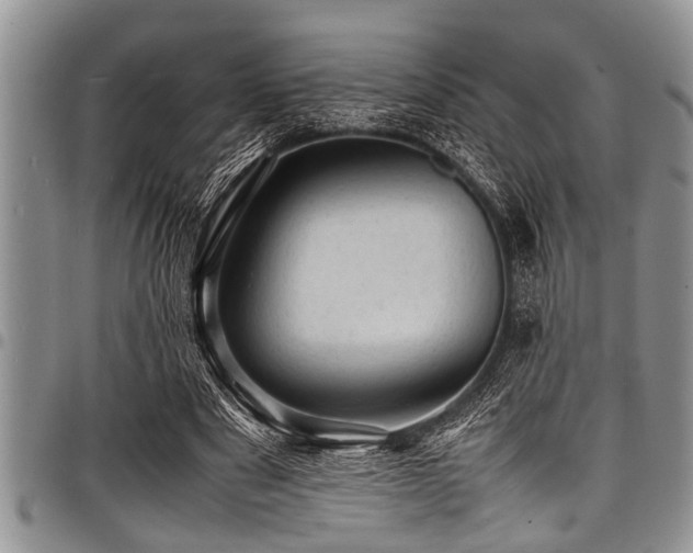 X0000098160489200804171603