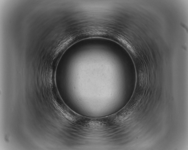 X0000098160490200804171603