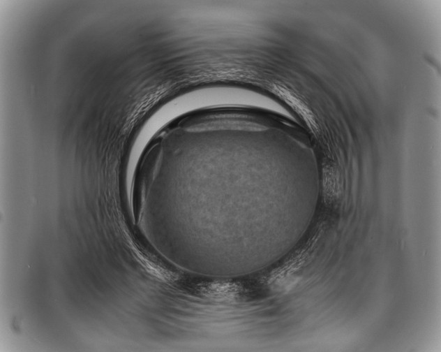 X0000098160493200804171603