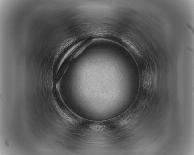 X0000098160494200804171603