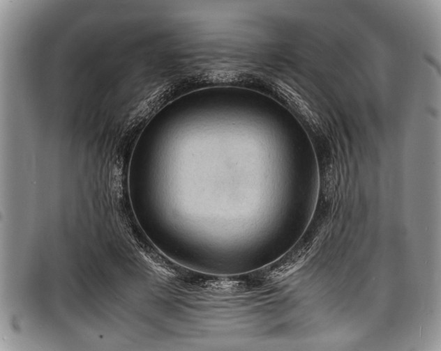 X0000098160497200804171603