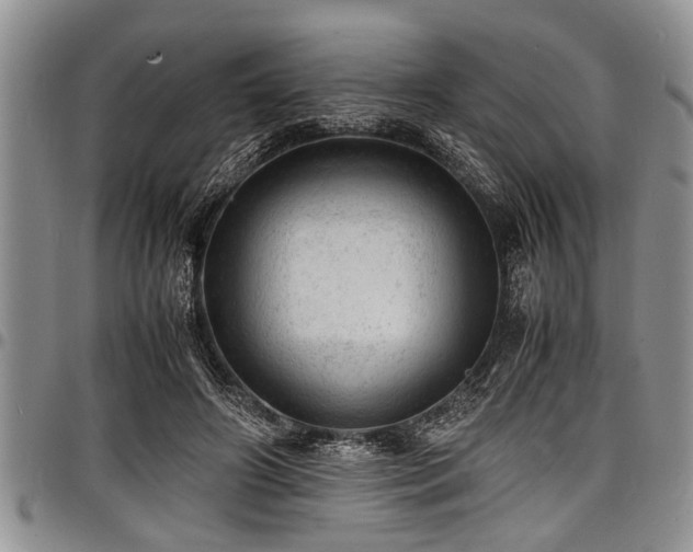 X0000098160498200804171603