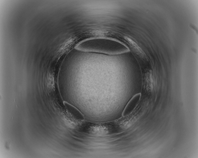 X0000098160500200804171603