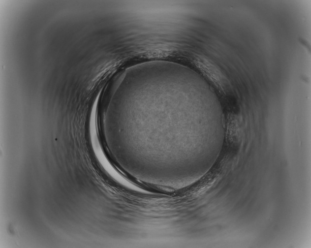 X0000098160501200804171603
