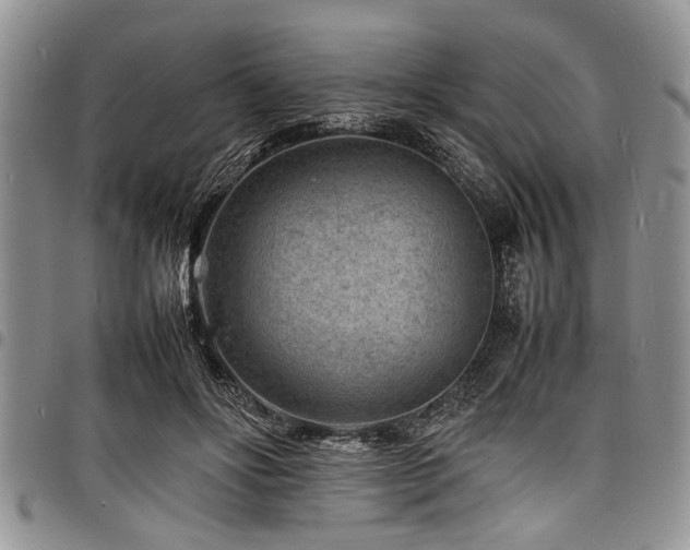 X0000098160502200804171603