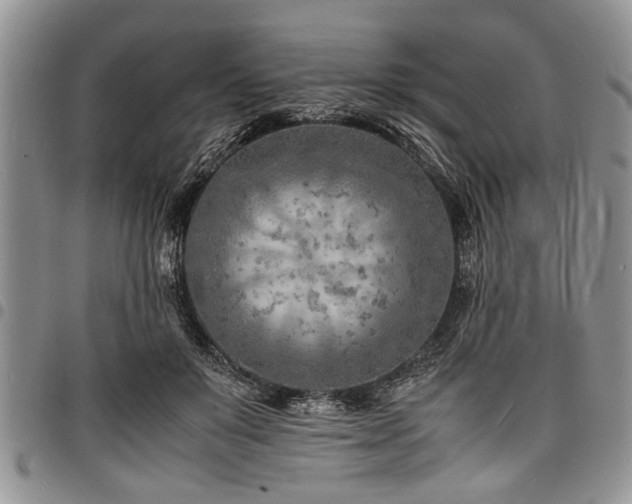 X0000098160503200804171603