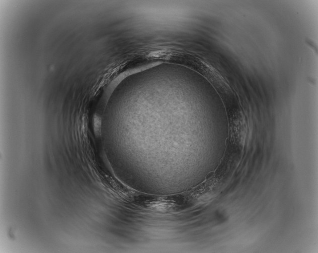 X0000098160504200804171603