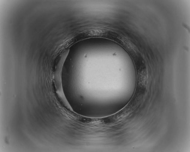 X0000098160505200804171603