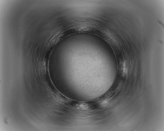 X0000098160506200804171603