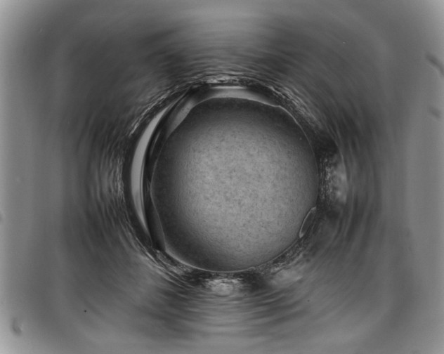 X0000098160508200804171603