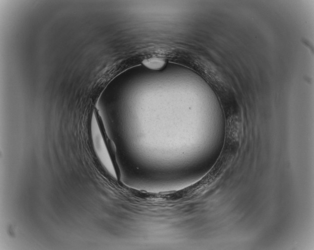 X0000098160509200804171603