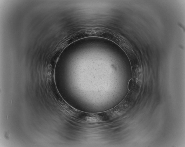 X0000098160510200804171603