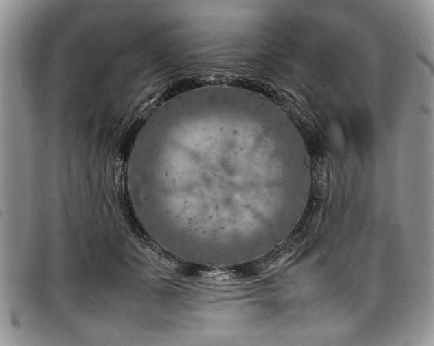 X0000098160511200804171603