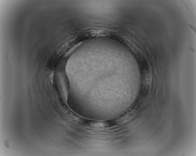X0000098160513200804171603