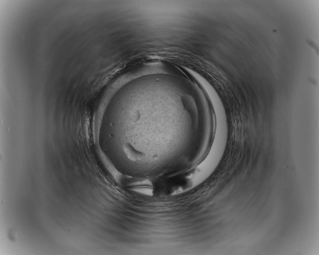 X0000098160514200804171602