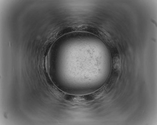 X0000098160515200804171602