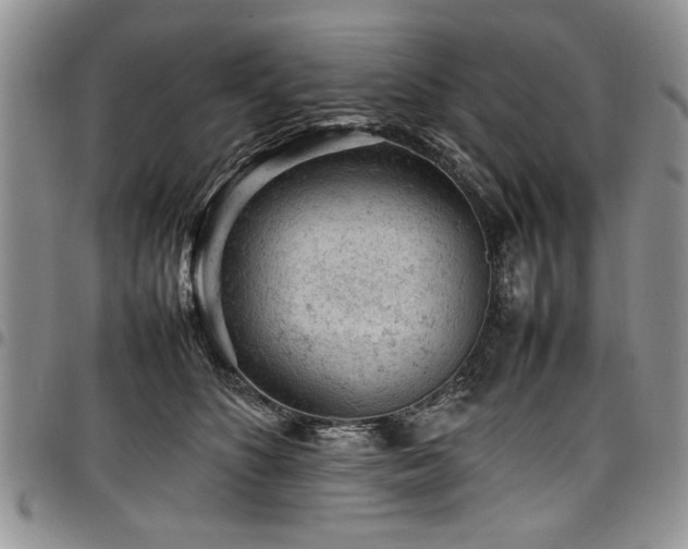 X0000098160516200804171602