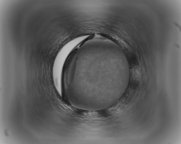 X0000098160517200804171602